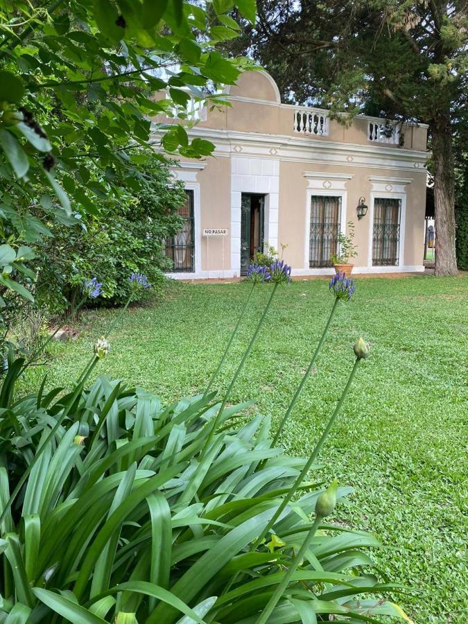 Don Aniceto - Suites De Campo Luján Extérieur photo